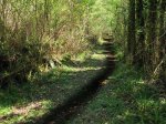 IMG_1087.JPG