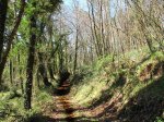 IMG_1089.JPG