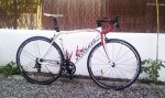 IMAG0524_a.jpg