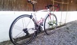 IMAG0528_a.jpg