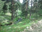 2012-06-02 11.14.19.jpg