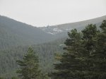 IMG_7951.JPG