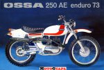 250AE%20Enduro73.jpg