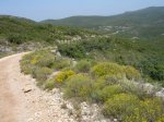 DSC00181.JPG