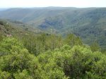 DSC00190.JPG