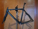 PRINCE PINARELLO (Large).JPG