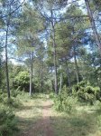 DSC00168.jpg