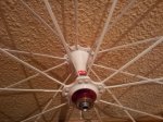 20120605_163709.jpg