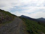 20120605_171058_1024x768.jpg