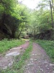 20120605_173458_1024x768.jpg