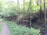 20120605_173507_1024x768.jpg