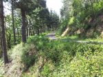20120605_174304_1024x768.jpg