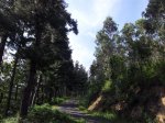 20120605_174315_1024x768.jpg