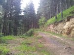 20120605_175124_1024x768.jpg
