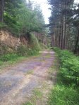 20120605_175135_1024x768.jpg
