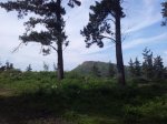 20120605_180513_1024x768.jpg