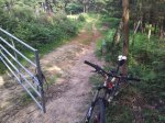 20120605_181136_1024x768.jpg