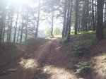 20120605_181418_1024x768.jpg