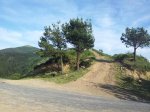 20120605_192103_1024x768.jpg