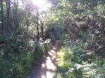 20120605_195645_1024x768.jpg