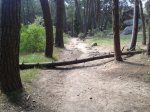 2012-06-04 17.26.59.jpg