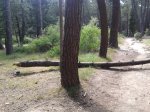 2012-06-04 17.27.13.jpg