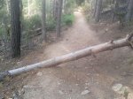 2012-06-04 18.20.17.jpg
