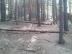 2012-06-04 18.22.30.jpg