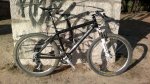 2012-03-05-017_comprimida.jpg