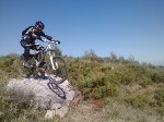 IMG520-1.jpg