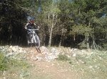 IMG502-1.jpg