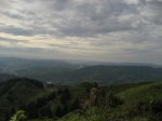 IMG_3559.JPG