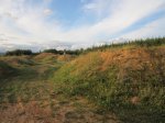 IMG_3053.JPG