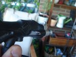 DSC05768.JPG