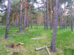 Foto2.JPG