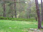Foto5.JPG