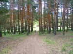 Foto20.JPG