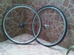 IMG01253-20120608-1853.jpg