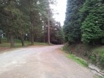 20120608_190140_1024x768.jpg