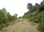 Imagen1126.jpg