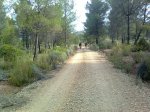 Imagen1130.jpg