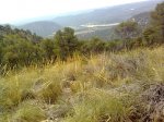 Imagen1140.jpg