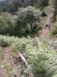 2012-06-08 11.07.50 copia.jpg