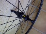 IMG-20120608-00667.jpg