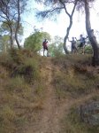 CIMG1506 (Copiar).JPG