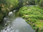 6&#186;-Rio Manzanares.JPG