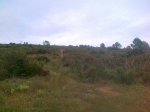 090620121583.jpg