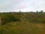 090620121584.jpg