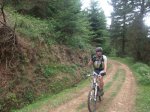 DSCF1172_800x600.jpg