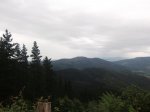DSCF1178_800x600.jpg